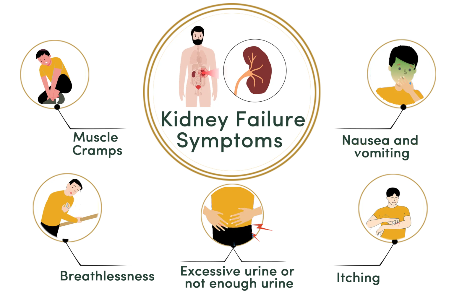 Kidney Failure Ayurvedic Treatment - Durja Ayurveda