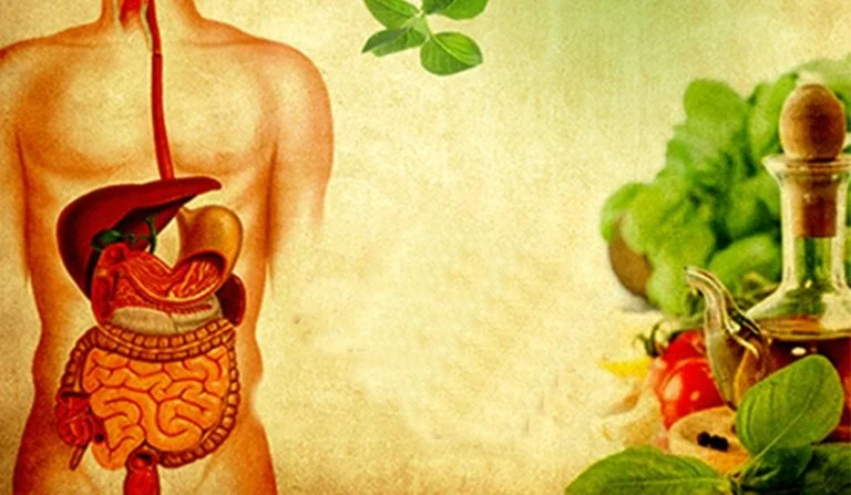 Panchakarma Treatment in Ayurveda – The Ultimate Detox Virechana